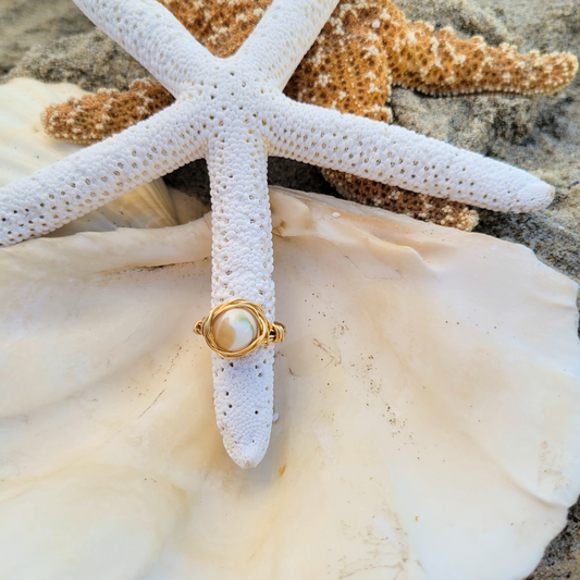 Albacore Shell Ring