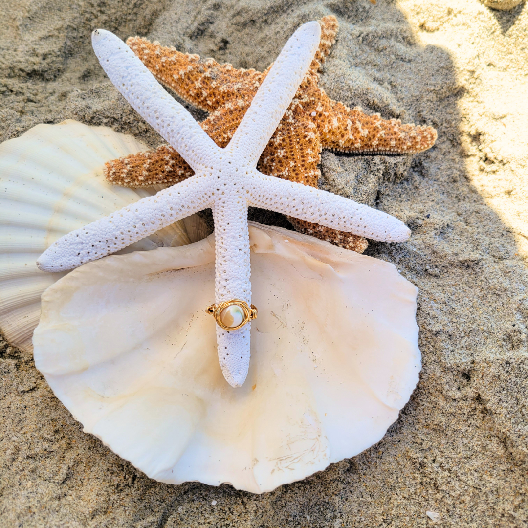 Albacore Shell Ring